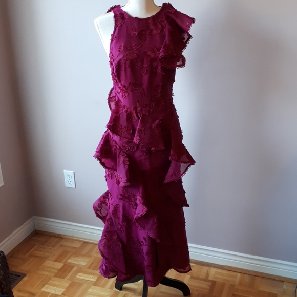 Keepsake raspberry dress - Picture 2 of 5